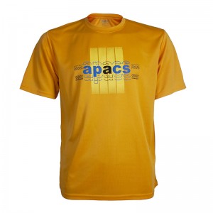 Apacs Dri-Fast Logo T-Shirt (RN221) - Orange